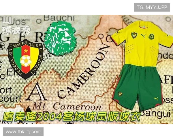 世界杯预选赛期间球员在国家队的薪资补贴