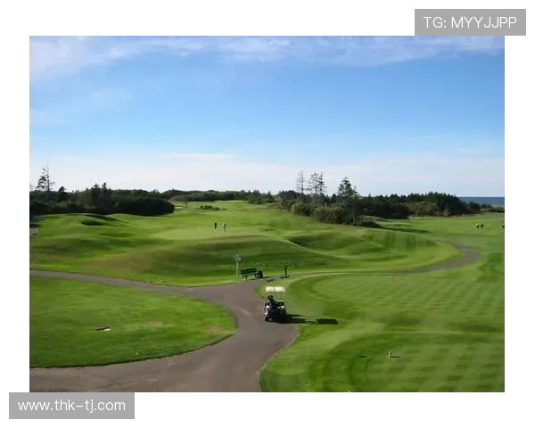 全球顶级高尔夫球场果岭平整度的数字化